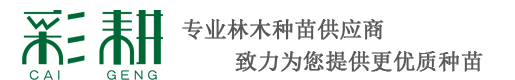 彩耕种苗
