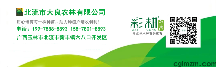 彩耕广告名片3.1.png