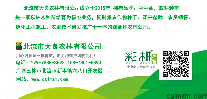 彩耕广告名片3.png